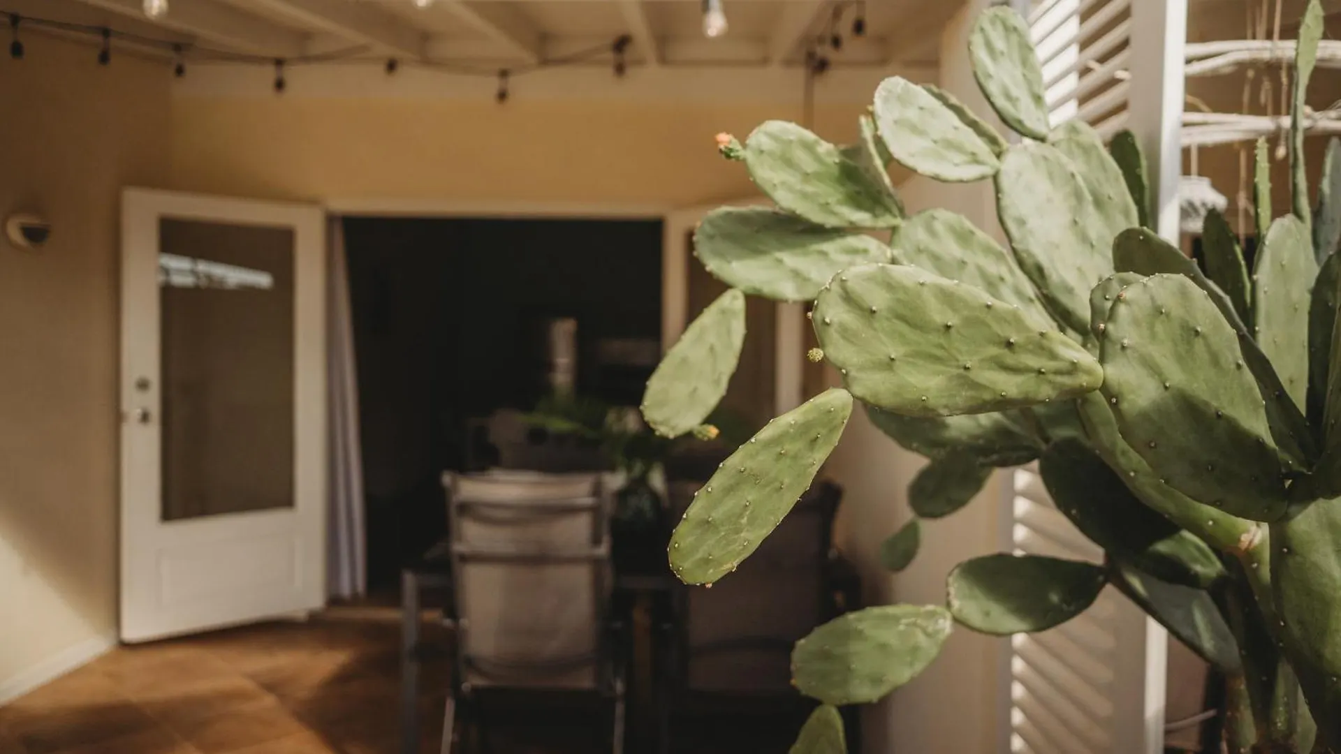 Pura Vida Aruba Appartement Palma نورد
