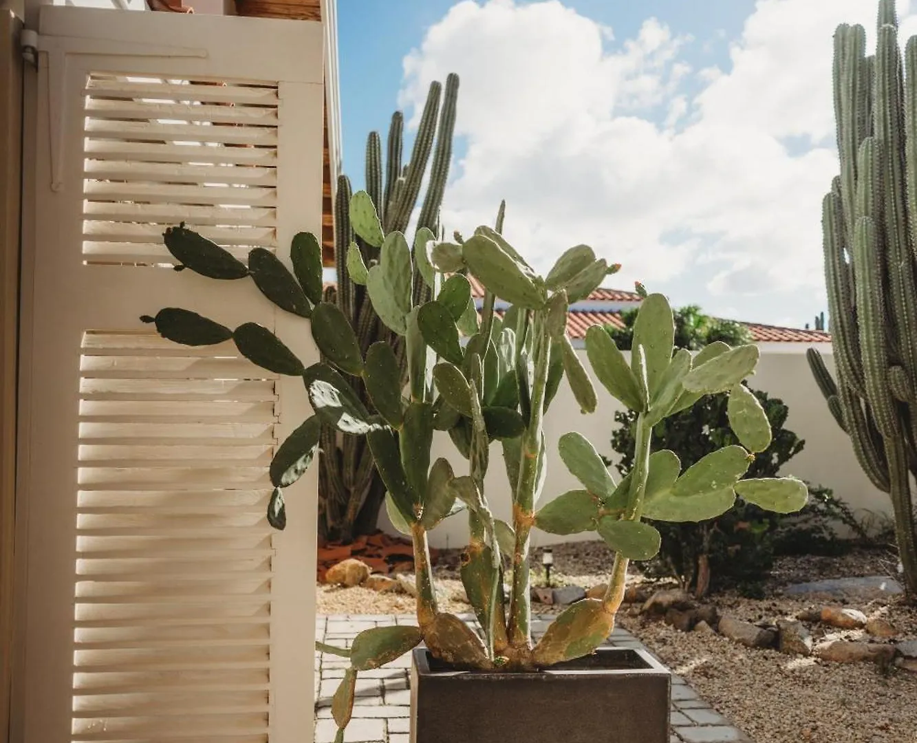 Pura Vida Aruba Appartement Palma نورد شقة