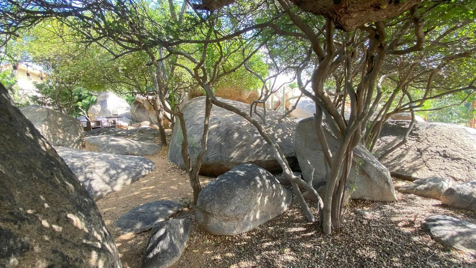 Pura Vida Aruba Appartement Palma Noord 0*,  Aruba