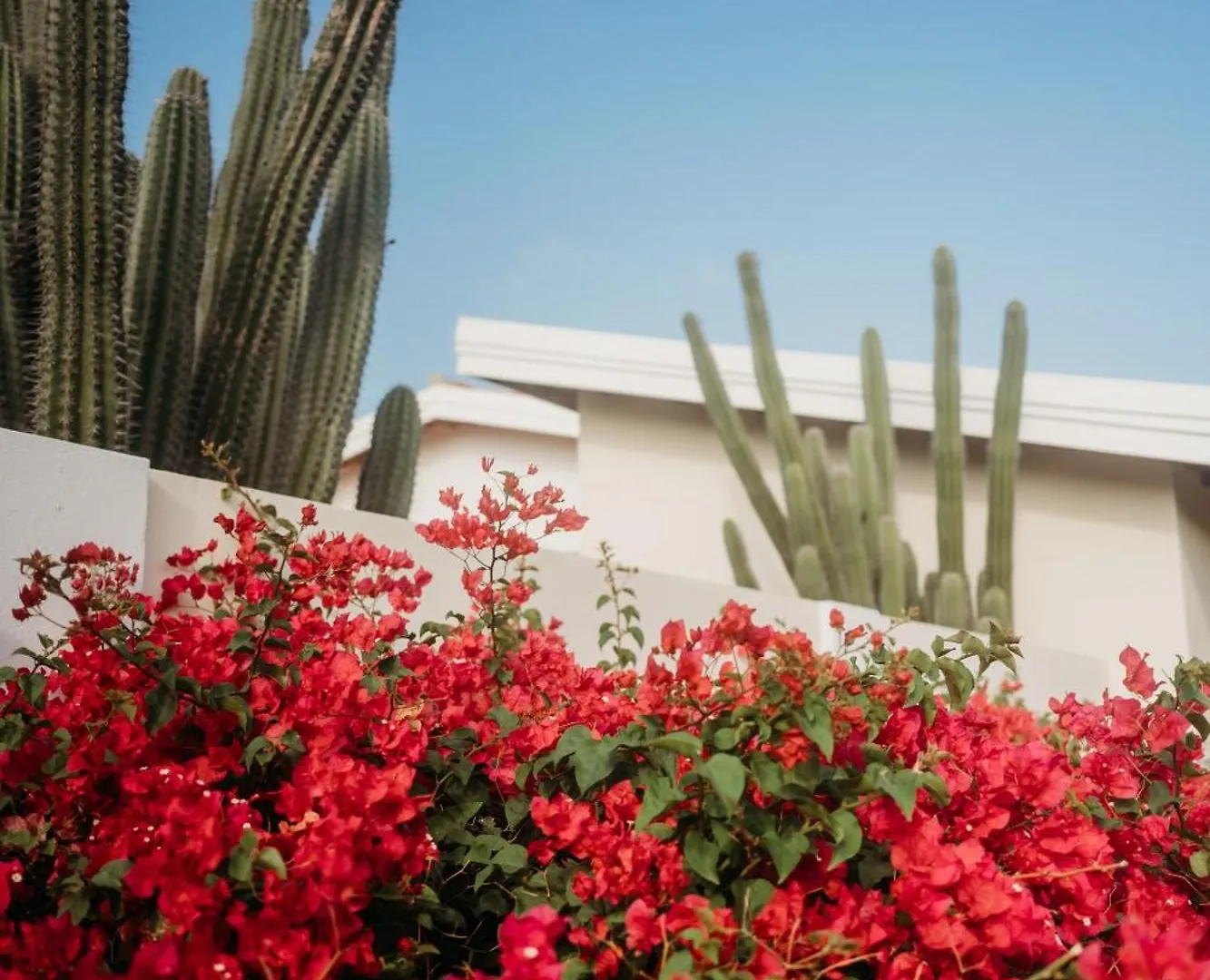 Pura Vida Aruba Appartement Palma Noord 0*,