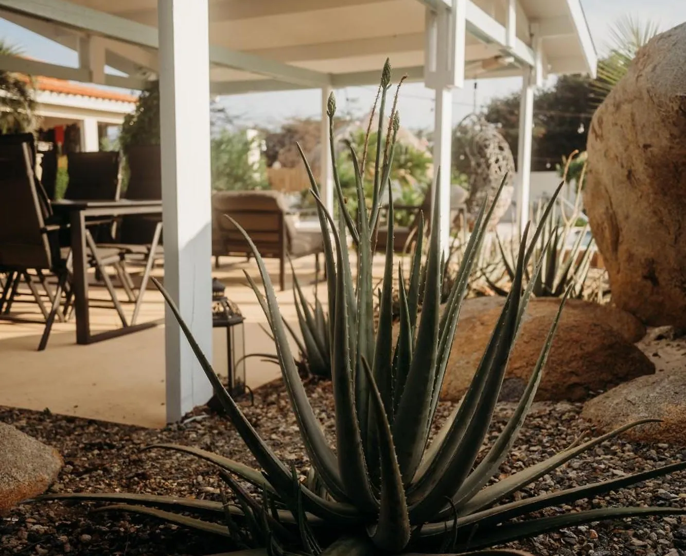Pura Vida Aruba Appartement Palma Noord